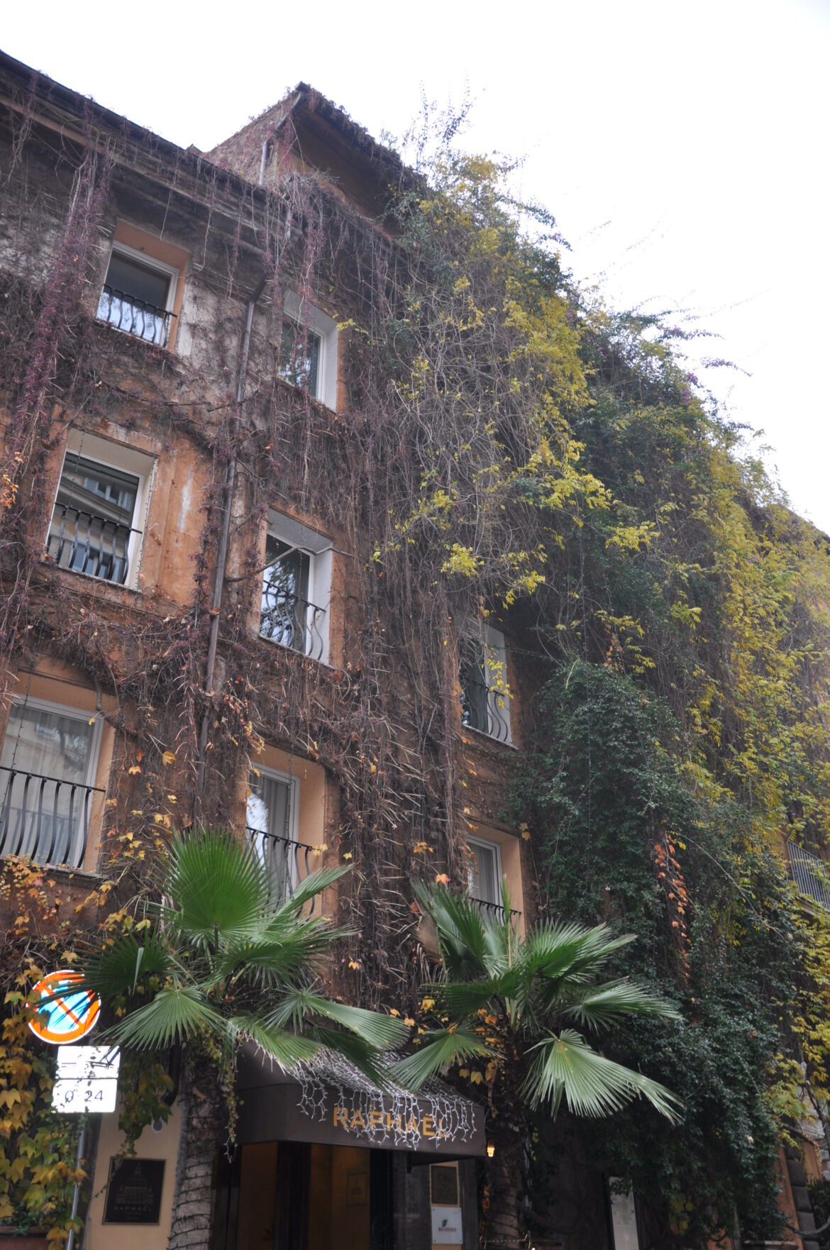 Hotel Raphael near Piazza Navona